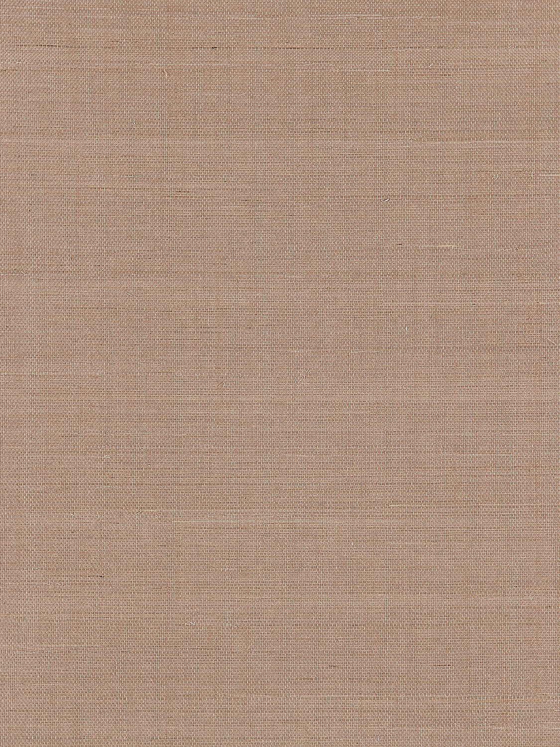 Fine Sisal - Fawn