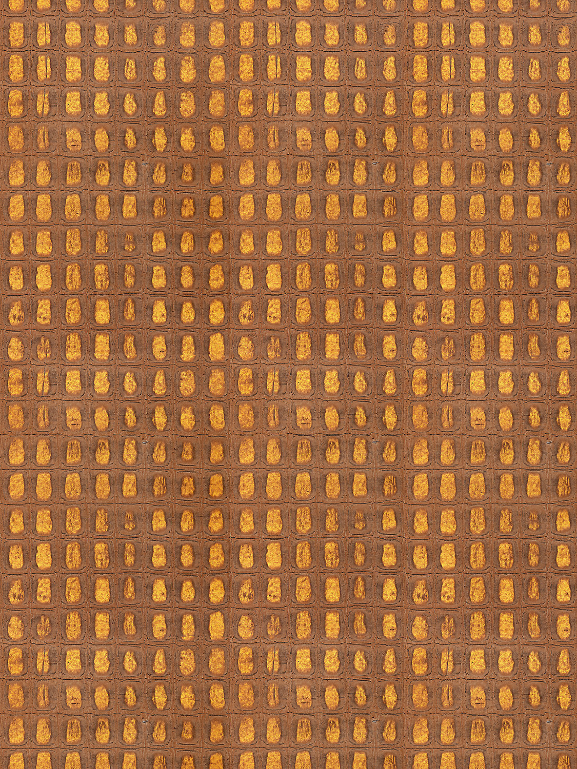 TORTOISESHELL Sienna SC WP88371 0004 by Scalamandre Wallcovering