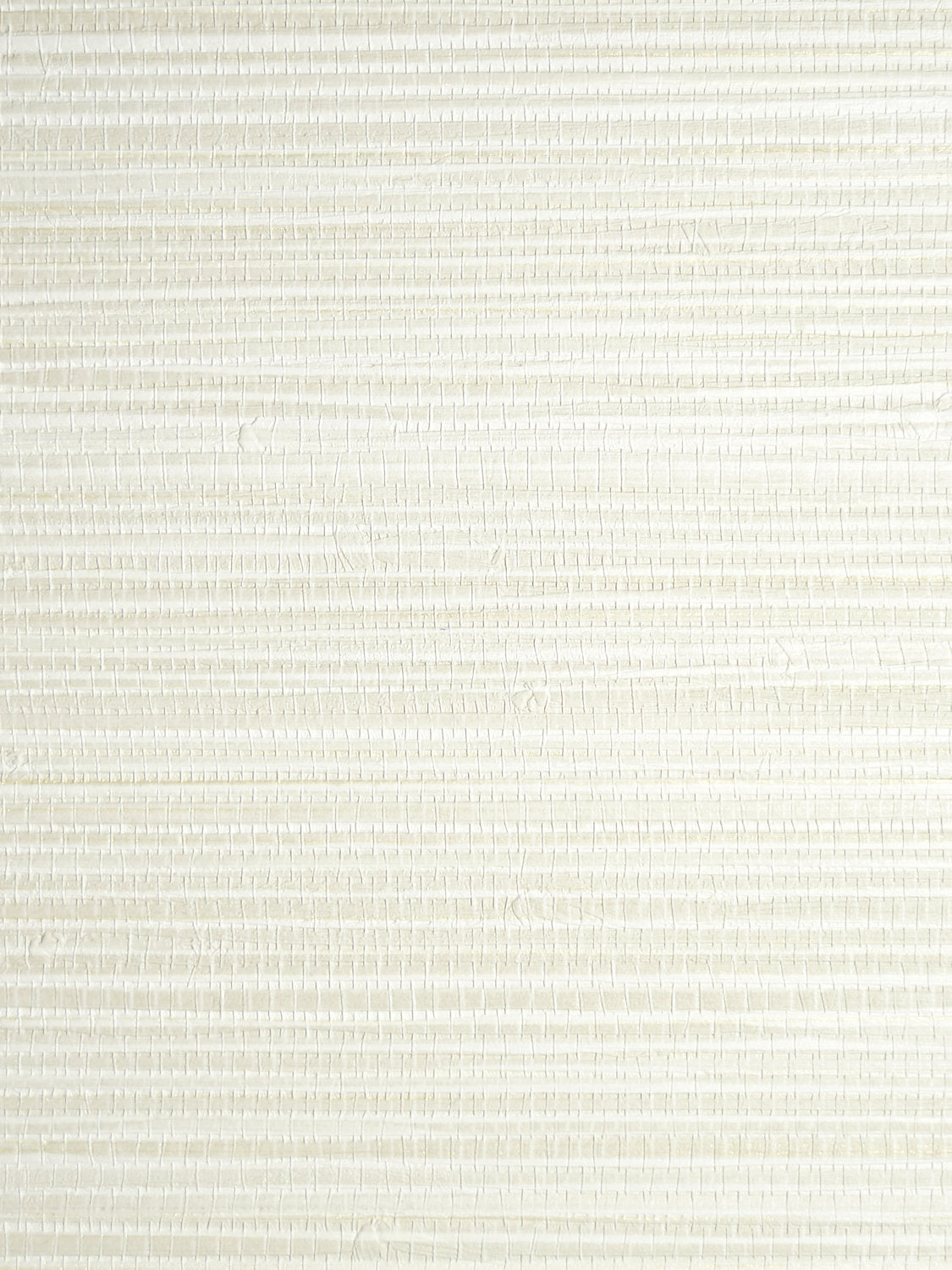 Seagrass - Vellum - Scalamandre Wallpaper