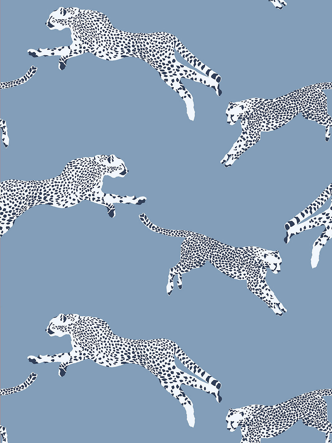 Leaping Cheetah - Cloud Nine
