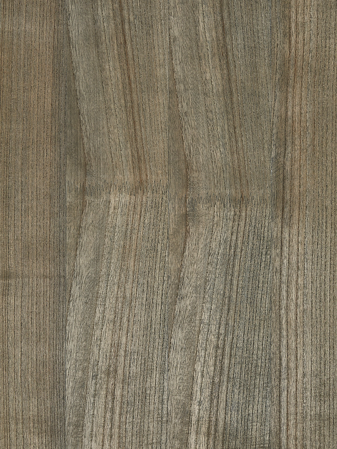 Woodgrain - Shark - Scalamandre Wallpaper