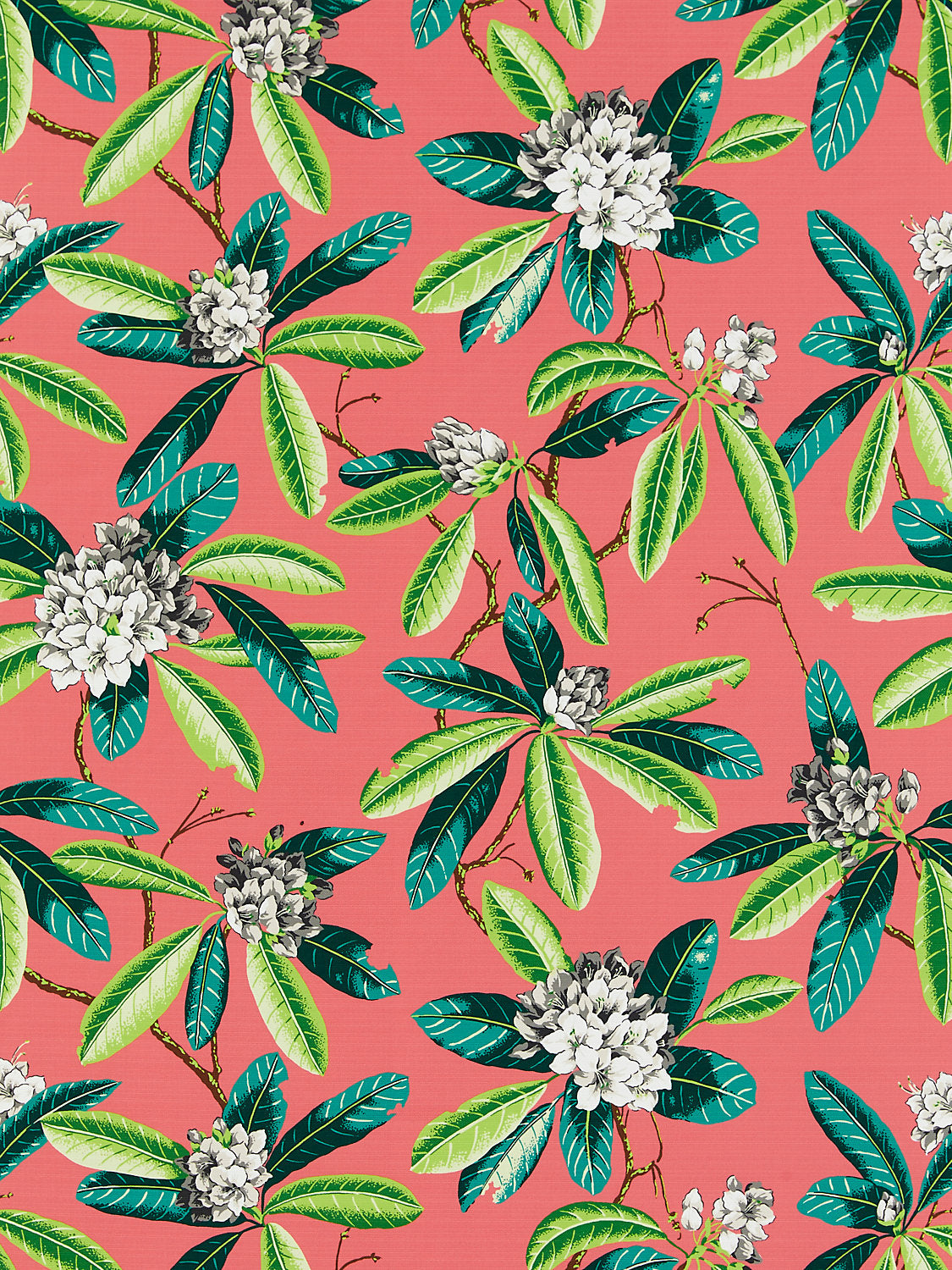 Rhododendron | Outdoor - Flamingo - Scalamandre Fabric