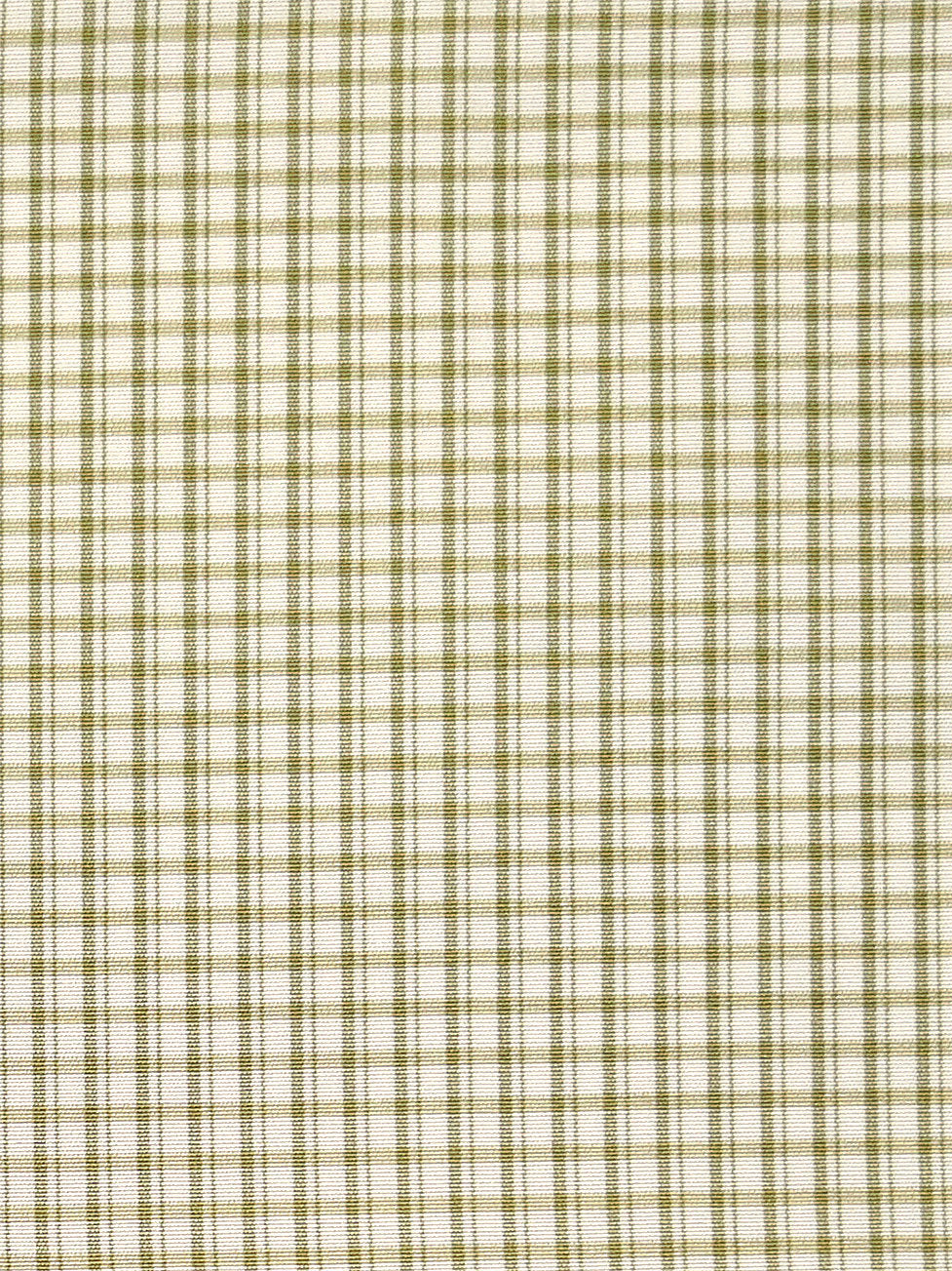Astor Check - Leaf - Scalamandre Fabric
