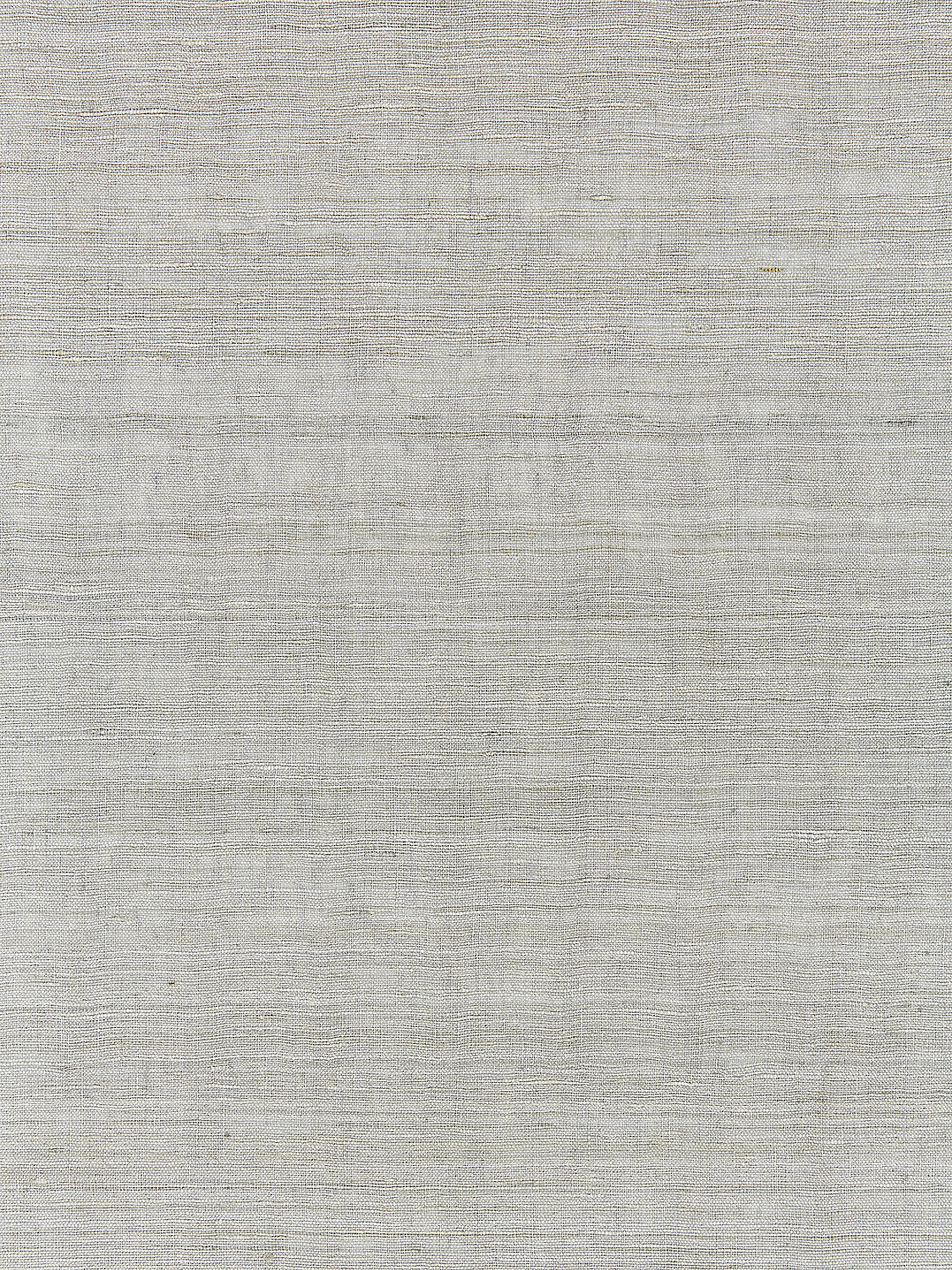Tussah Sheer - Fog - Scalamandre Fabric