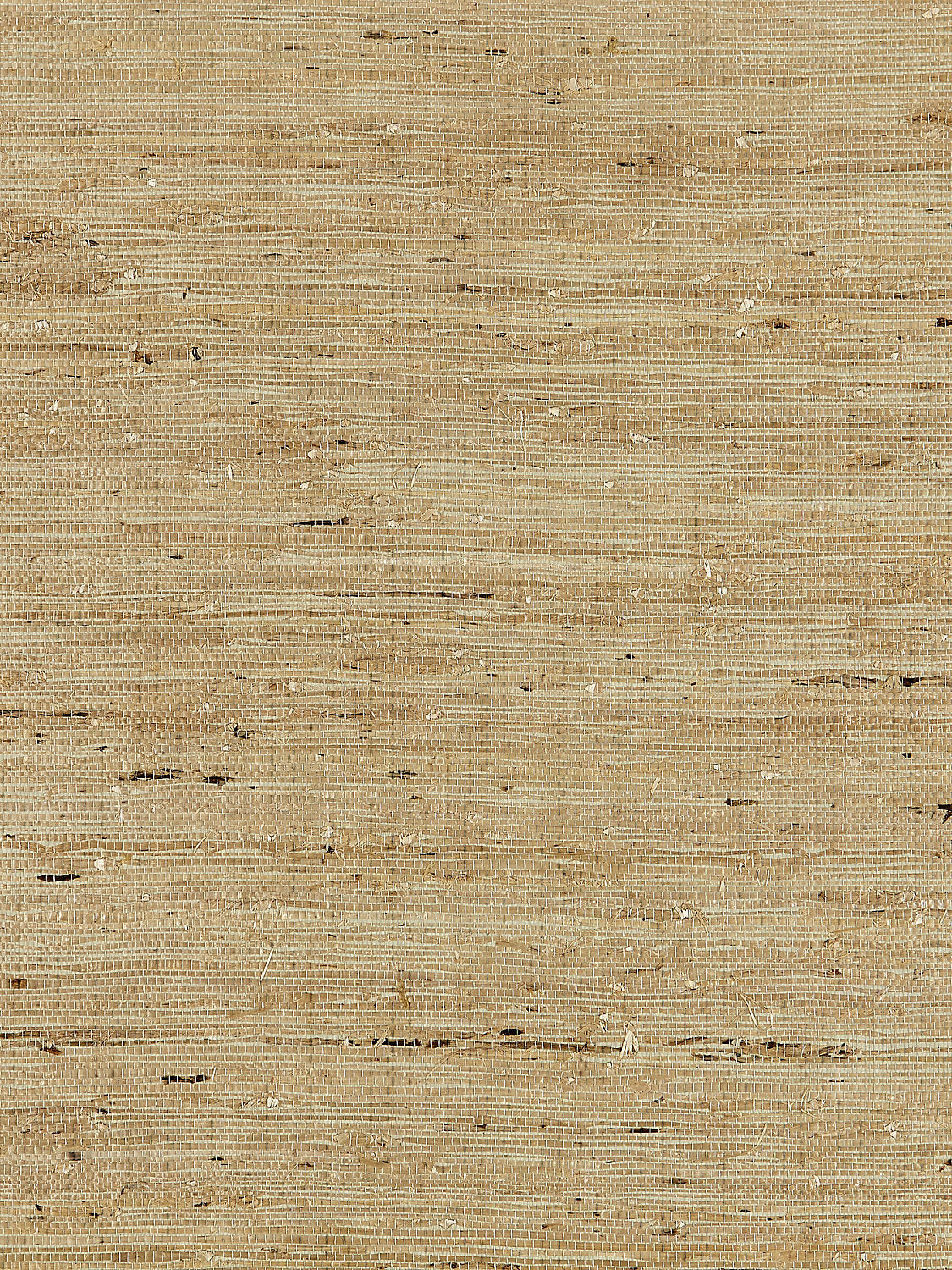 Arrowroot Weave - Sage - Scalamandre Wallpaper
