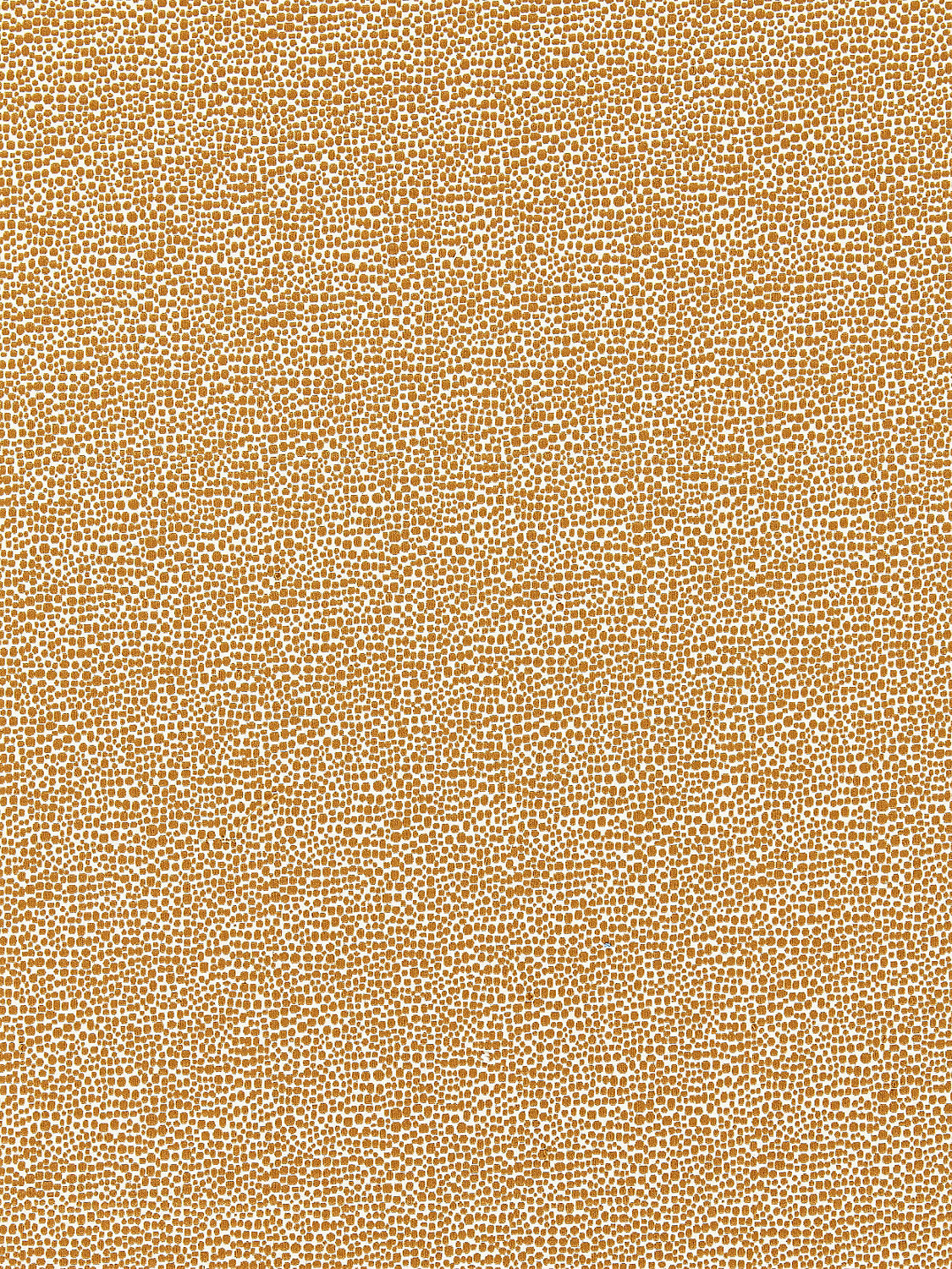 Shagreen - Beige - Scalamandre Fabric