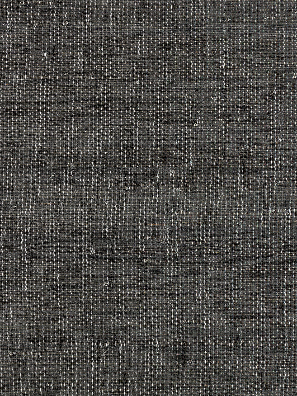 Textured Sisal - Anthracite - Scalamandre Wallpaper