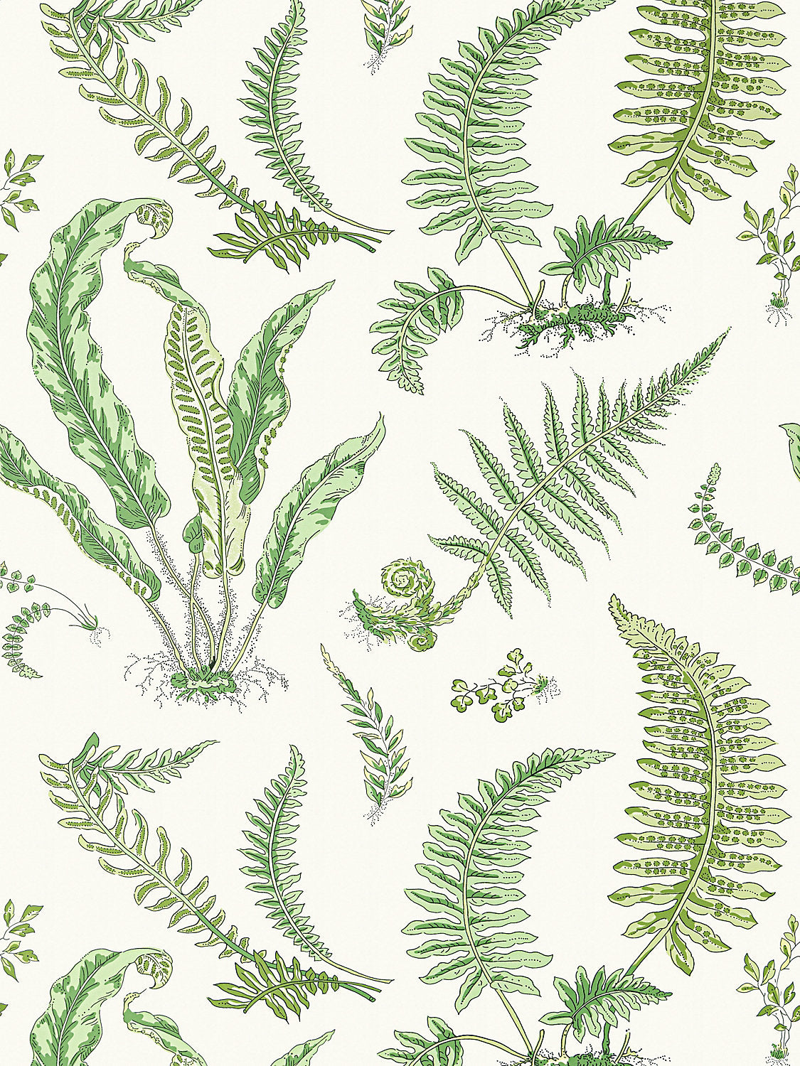 Elsie De Wolfe Wallcovering - Fern - Scalamandre Wallpaper