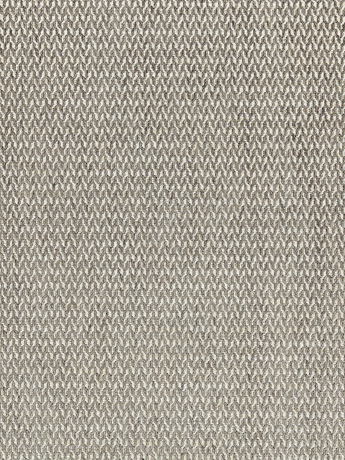 Cortona Chenille - Nickel - Scalamandre Fabric
