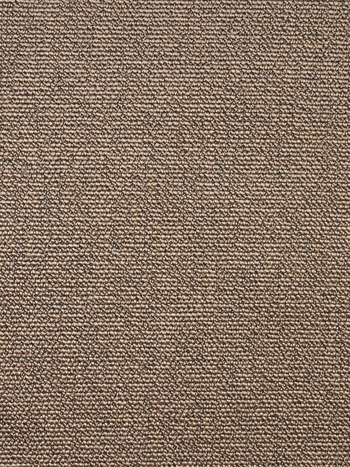 Boss Boucle - Sepia