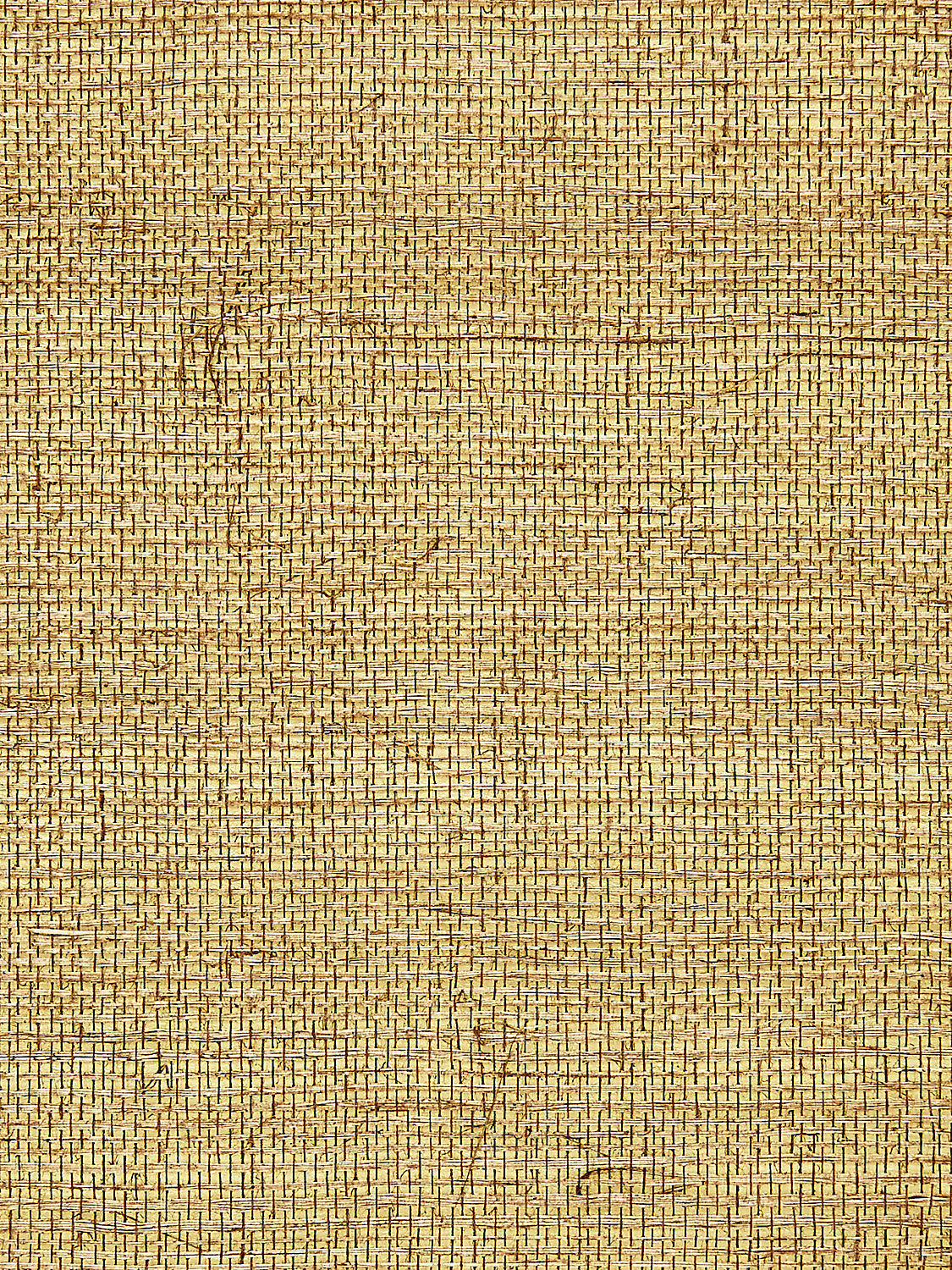 Sisal Metallic - Burnished Gold