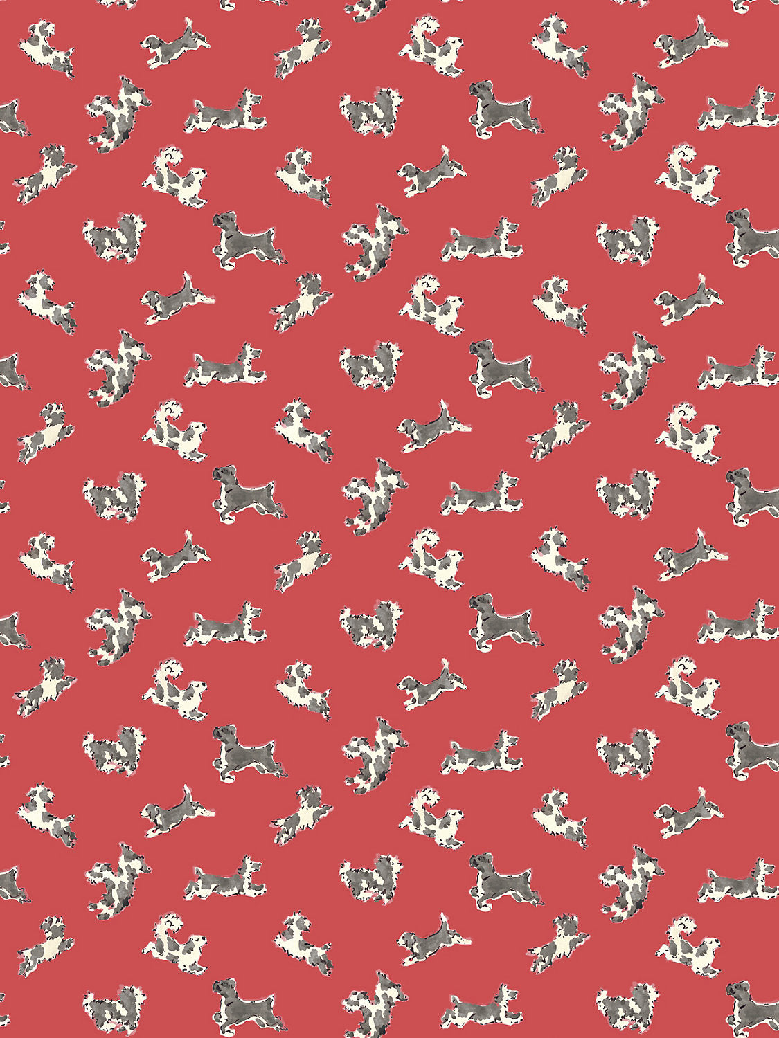 Fete de Chien – Red Pepper And Charcoal SC WP88183D 0007- SCALAMANDRE WALLCOVERING