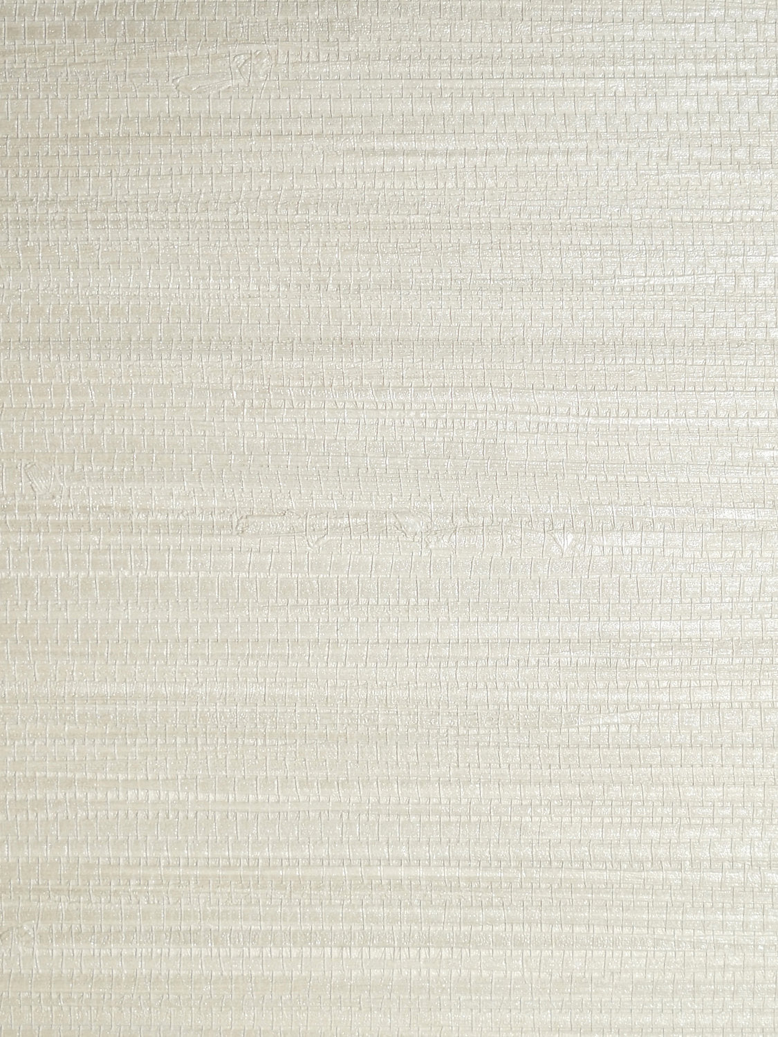 Pampas - Ivory