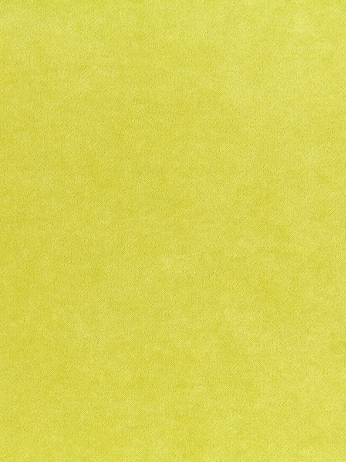 Aurora Velvet - Chartreuse - Scalamandre Fabric