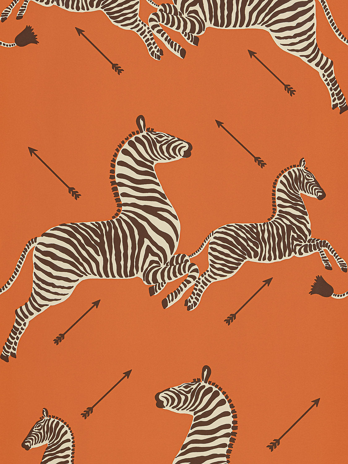 Zebras | Vinyl - Orange