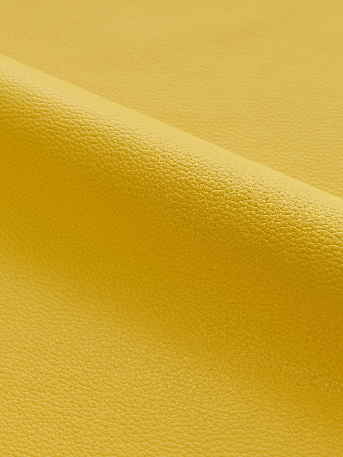 Lucille | Outdoor - Goldenrod - Scalamandre Fabric