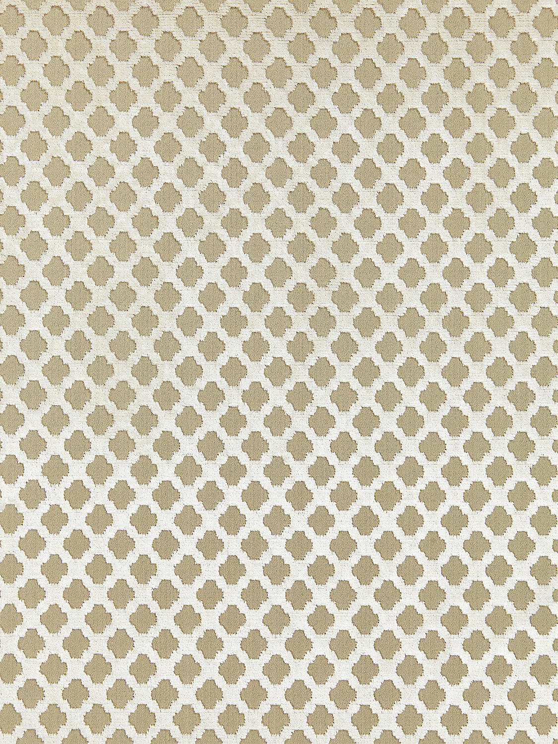 Pomfret - Alabaster - Scalamandre Fabric