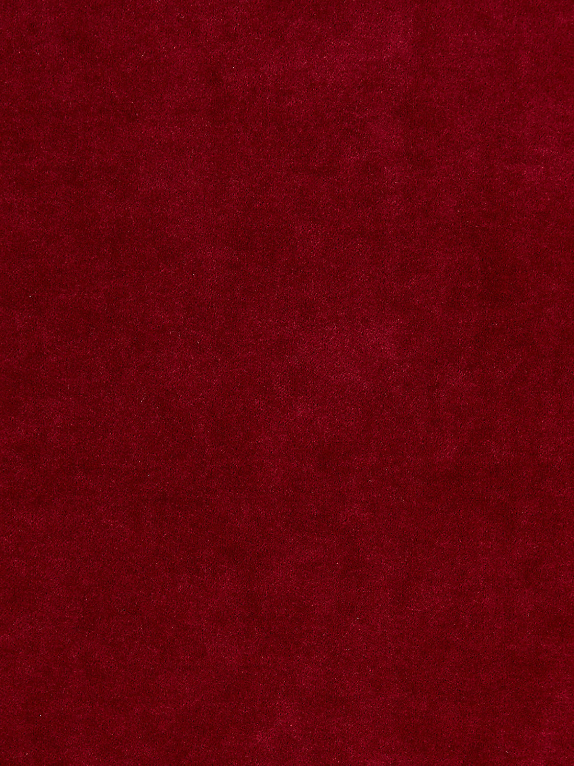 Aurora Velvet - Currant - Scalamandre Fabric