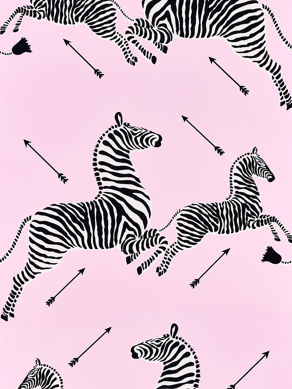 Zebras | Wallpaper - Dahlia - Scalamandre Wallpaper