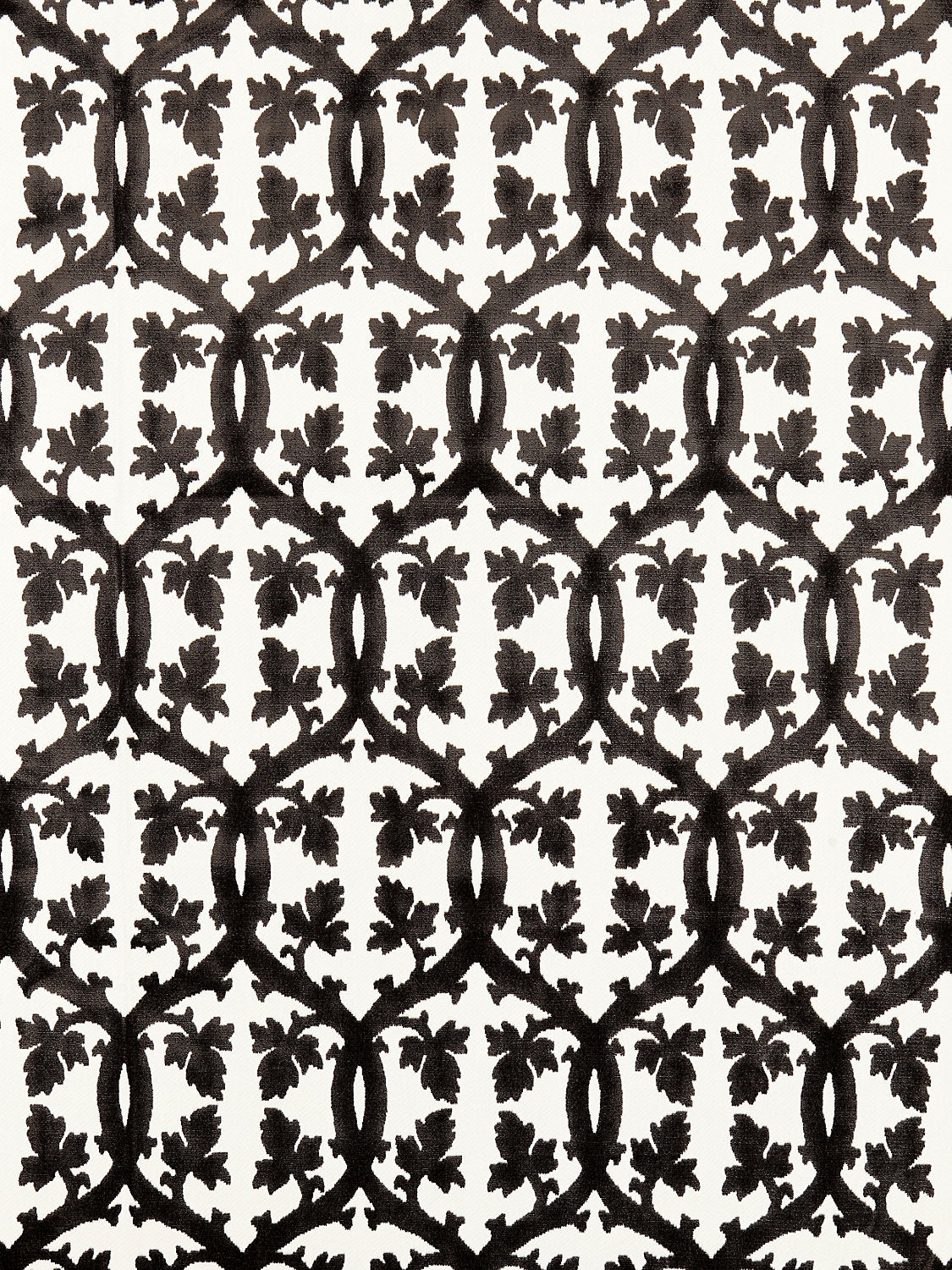 Falk Manor House - Carbon