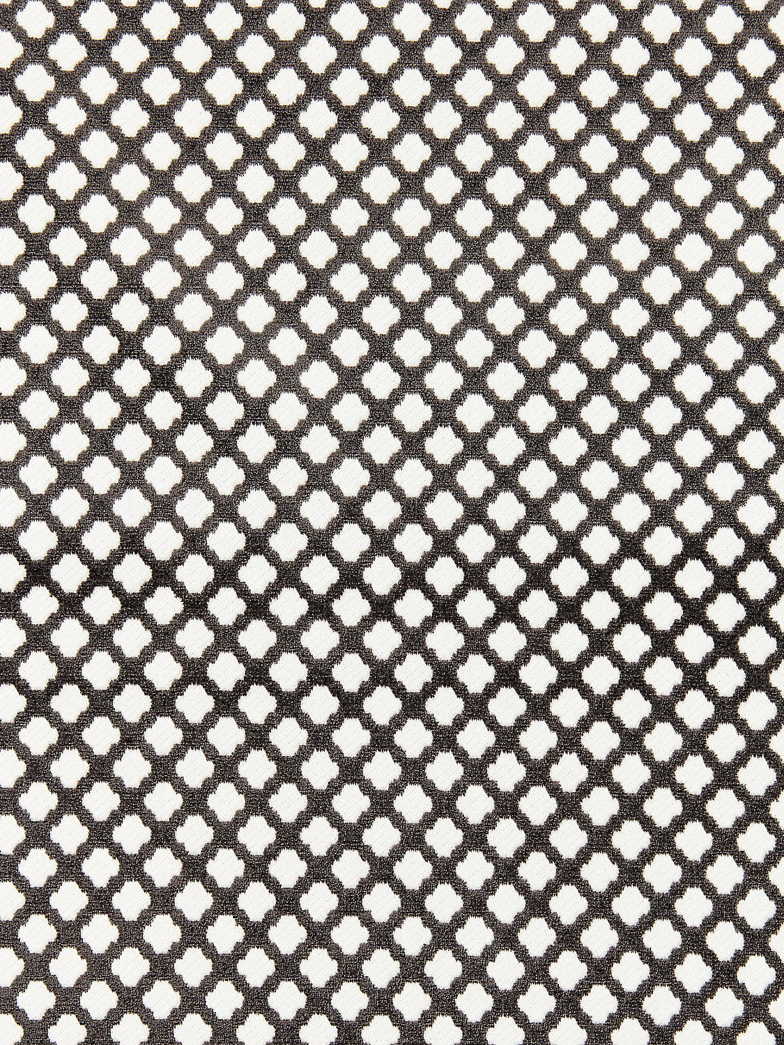 Pomfret - Carbon - Scalamandre Fabric