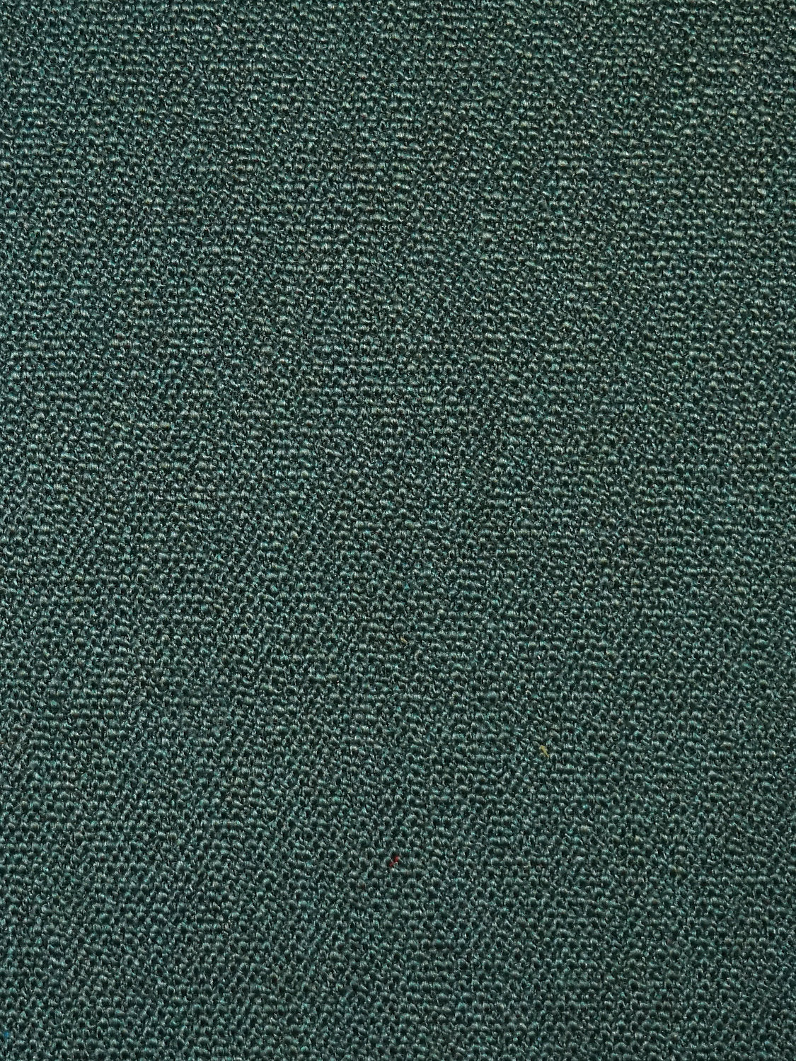 Boss Boucle - Hedgerow - Scalamandre Fabric