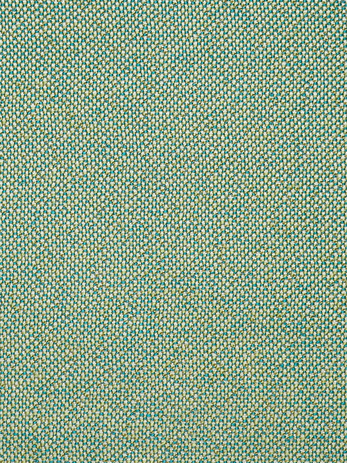 City Tweed - Palm Leaf - Scalamandre Fabric
