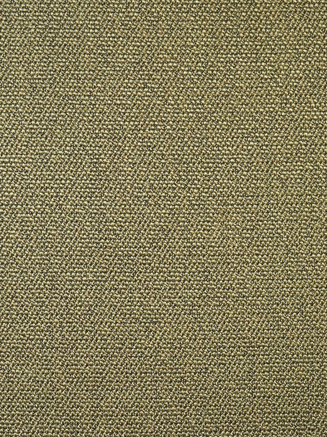 Boss Boucle - Seaweed - Scalamandre Fabric