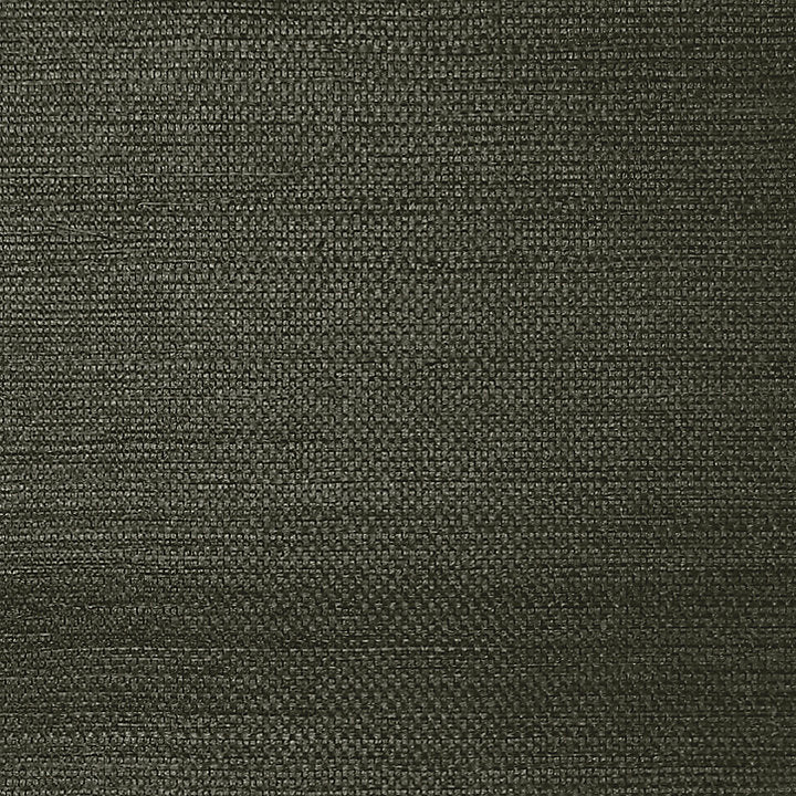 Sisal - Evening