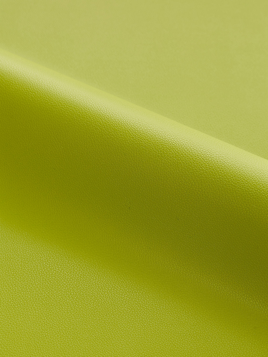 Clark | Outdoor - Leek
