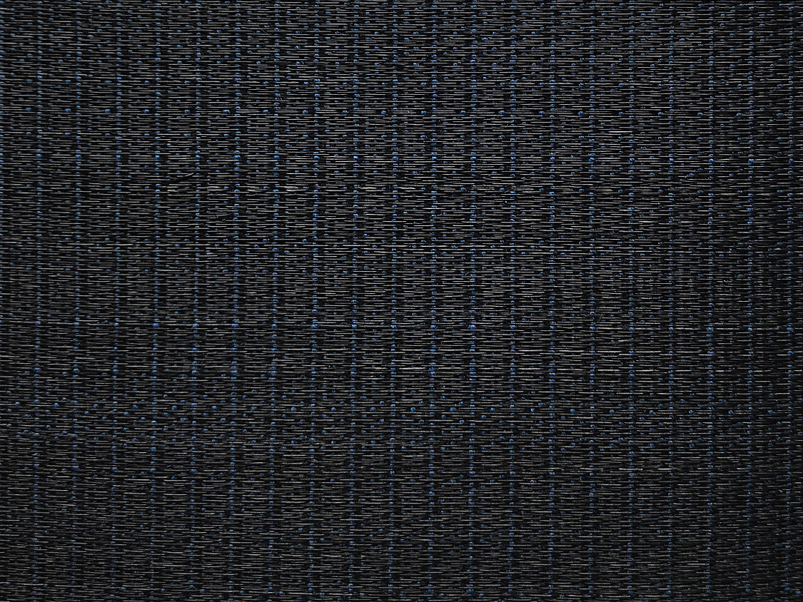 Rottaler Horsehair - Blue / Black - Scalamandre Fabric