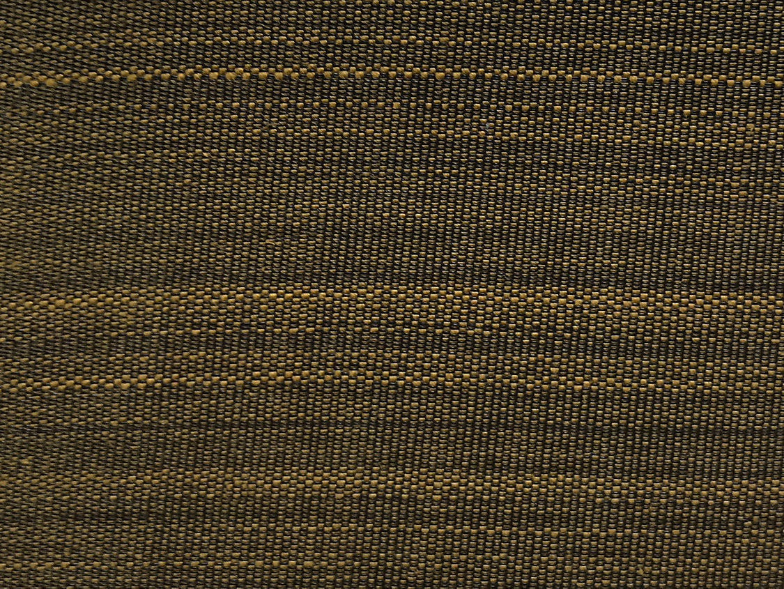 Paso Horsehair - Dark Brass - Scalamandre Fabric