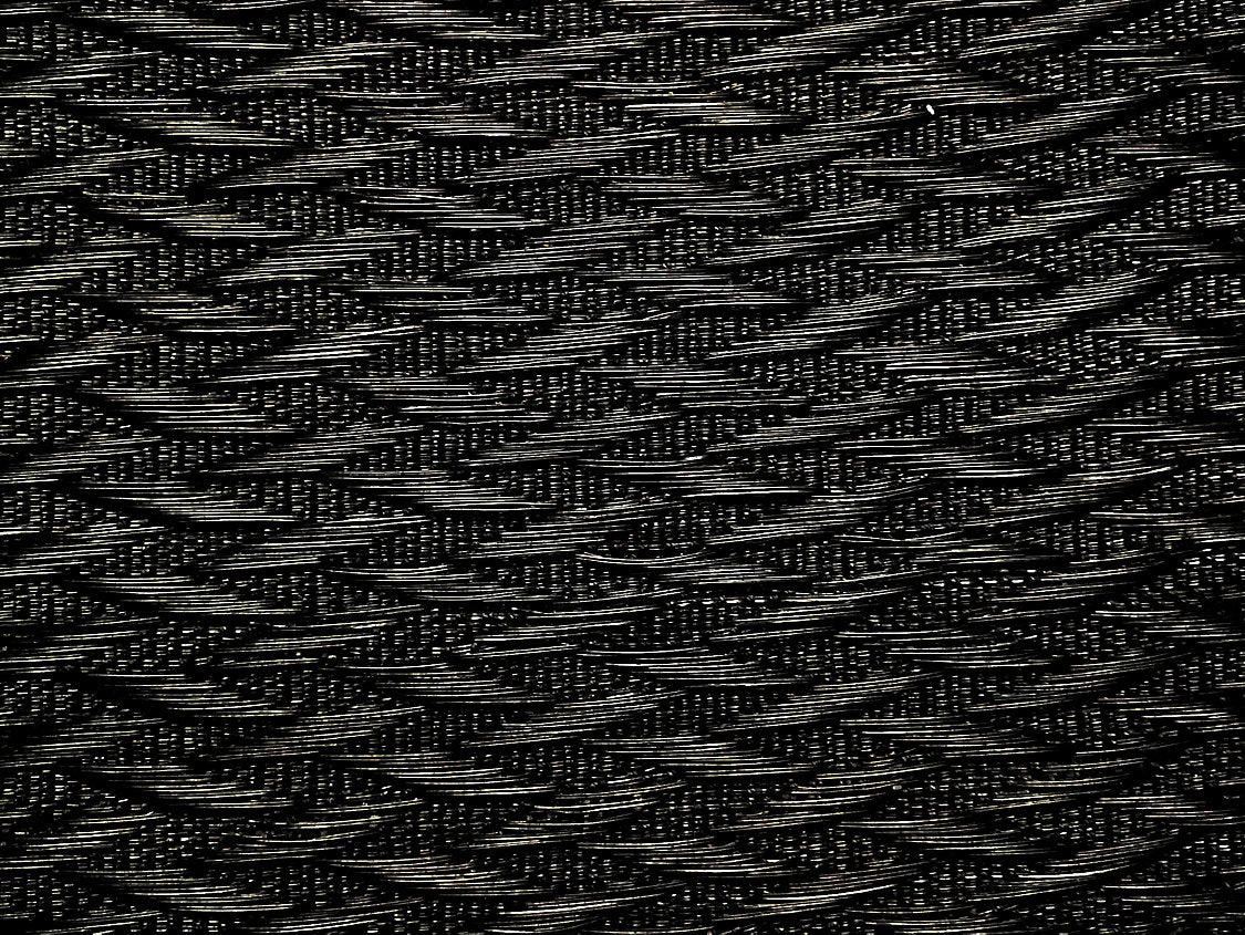 Milzig | Cotton/Horsehair - Black - Scalamandre Fabric