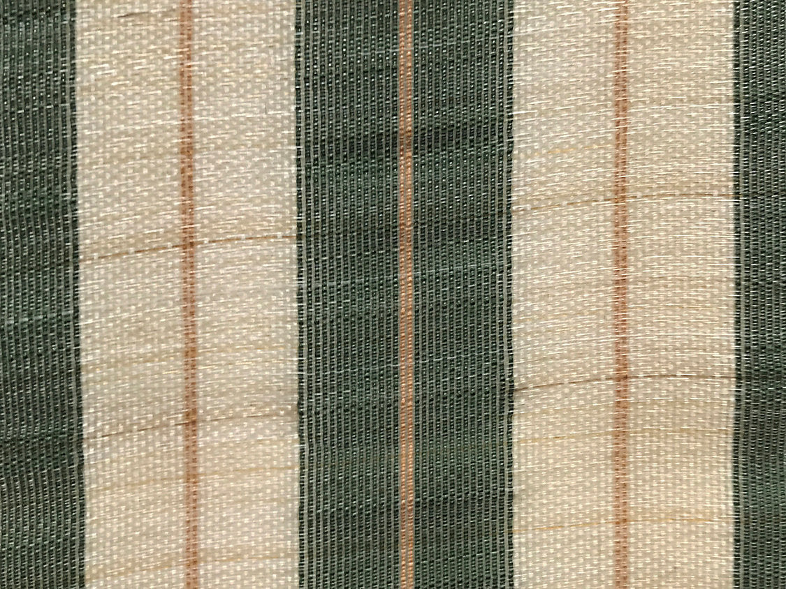 Neapolitan Horsehair - Green / Beige - Scalamandre Fabric