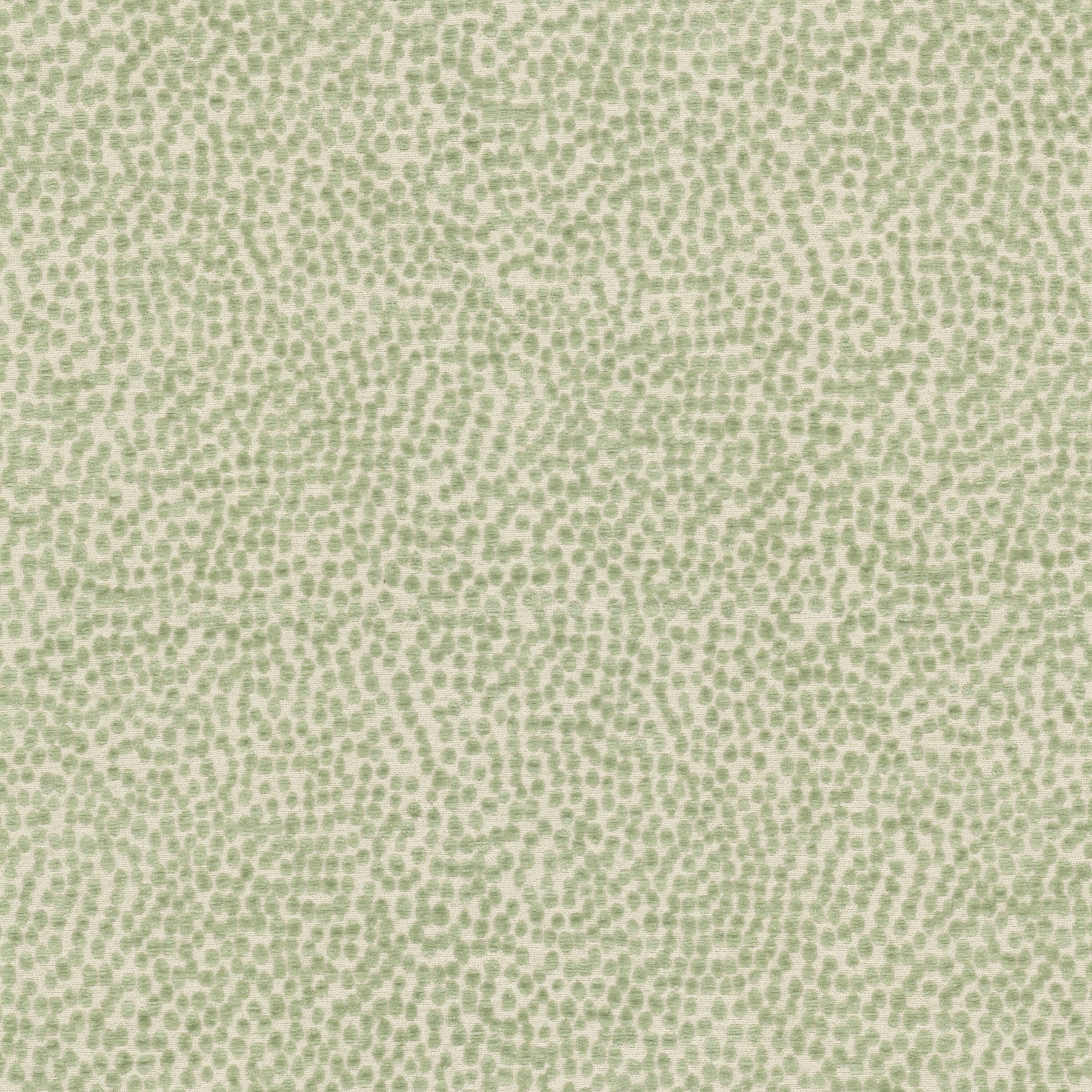SPOTSWOOD-2-DEWKIST-STOUT-TEXTILES