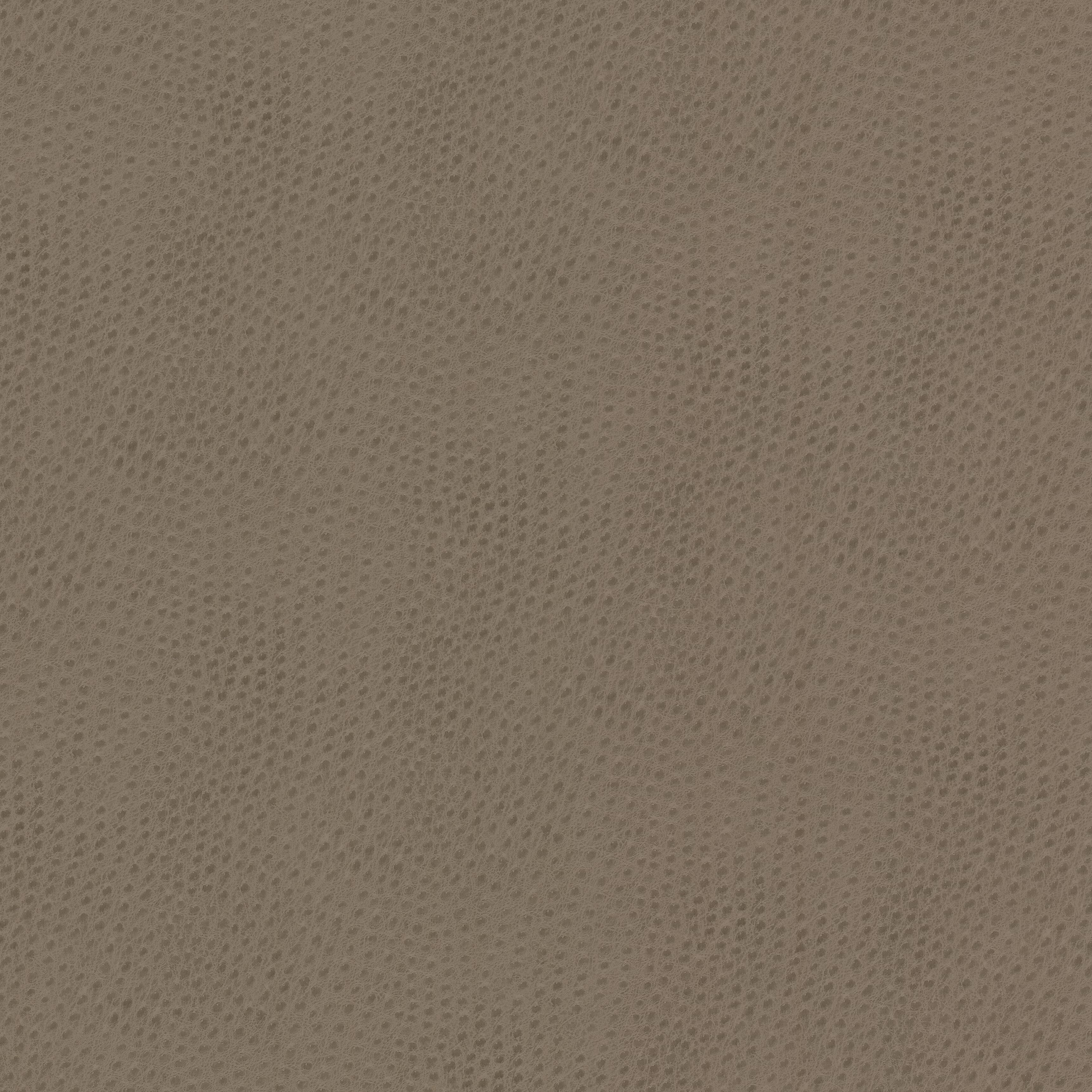Steeplechase 1 Putty by Stout Fabric