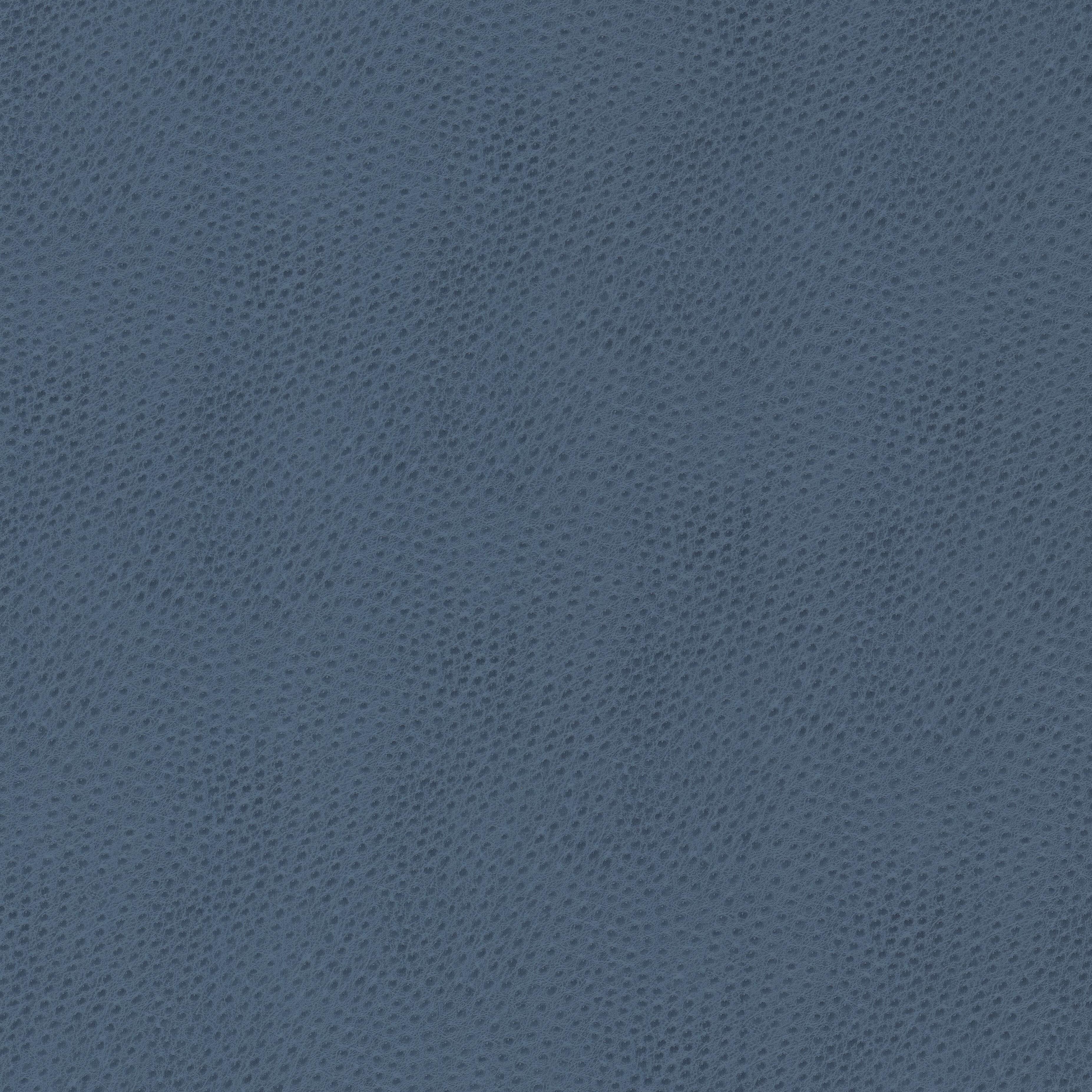 Steeplechase 3 Bluebird by Stout Fabric