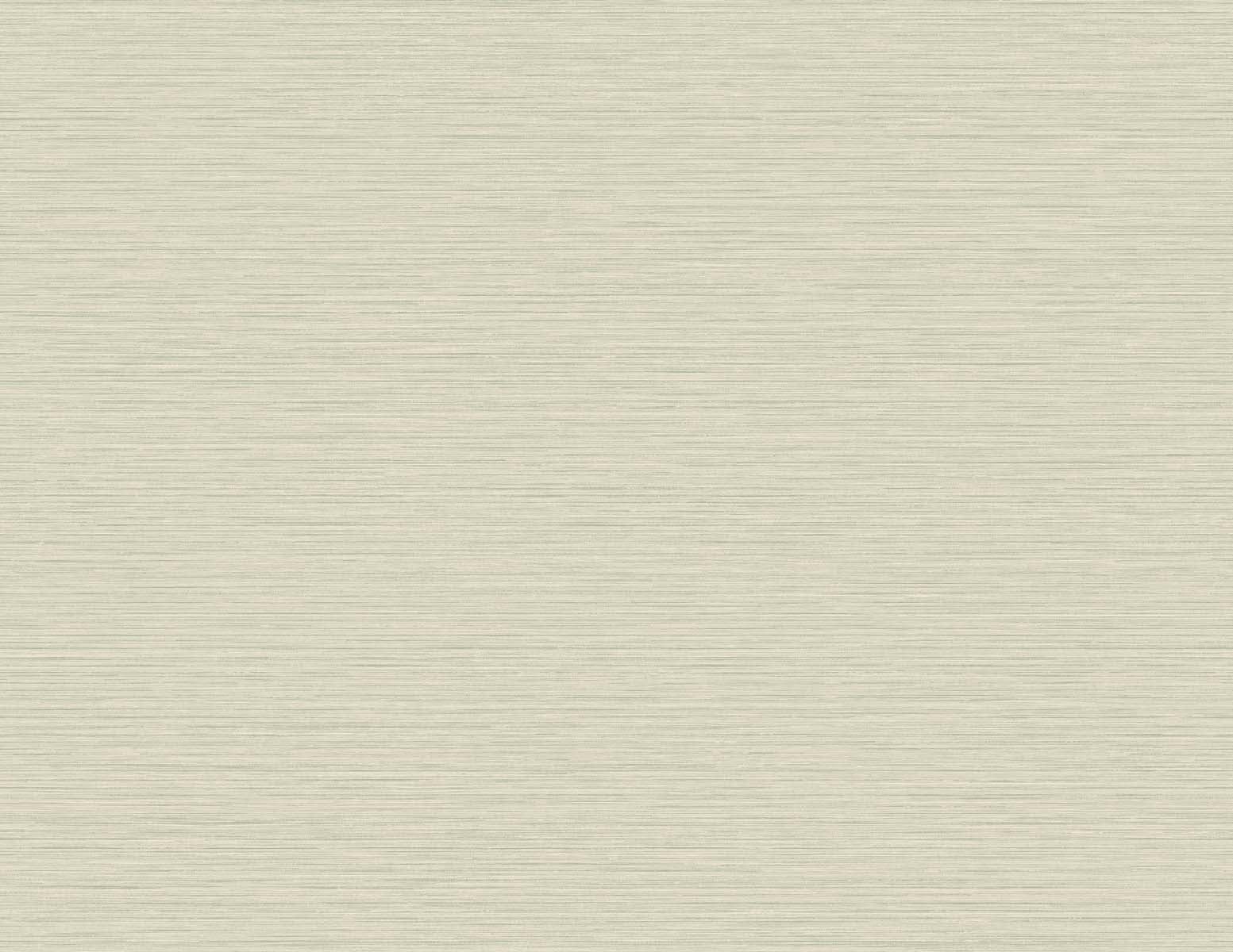 Seabrook Designs TS81417 Even More Textures Silk  Wallpaper Fawn