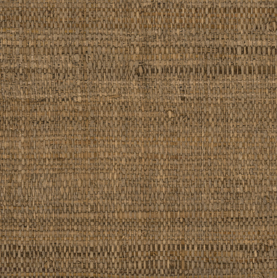 veranda-ver-03-latte-innovations