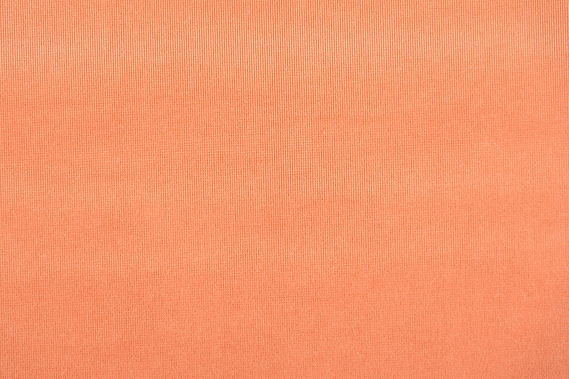 Glamour Velvet - Guava - Scalamandre Fabric