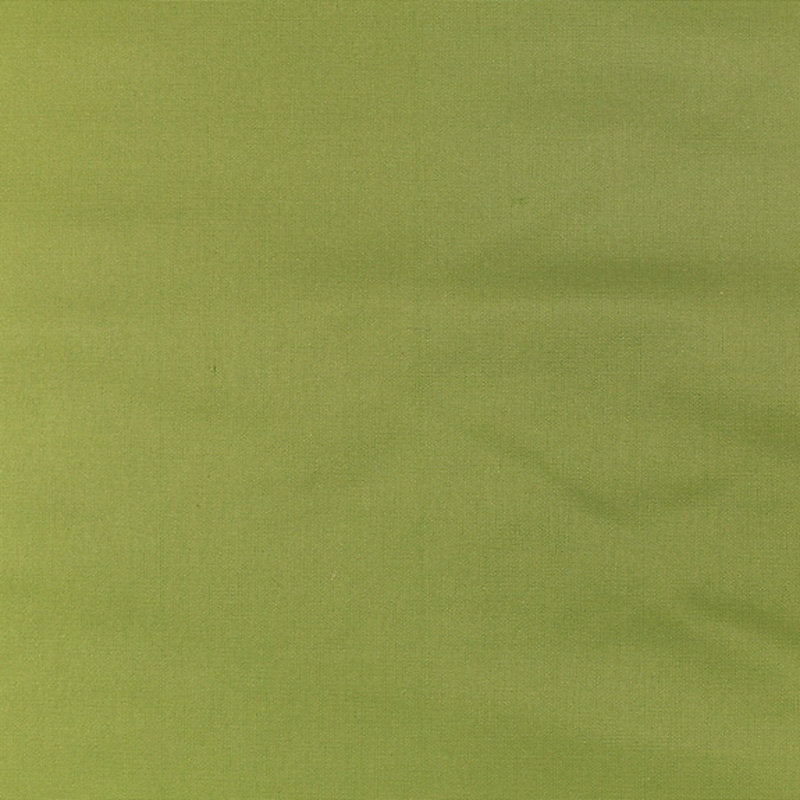 Pacific Silk - Grass - Scalamandre Fabric