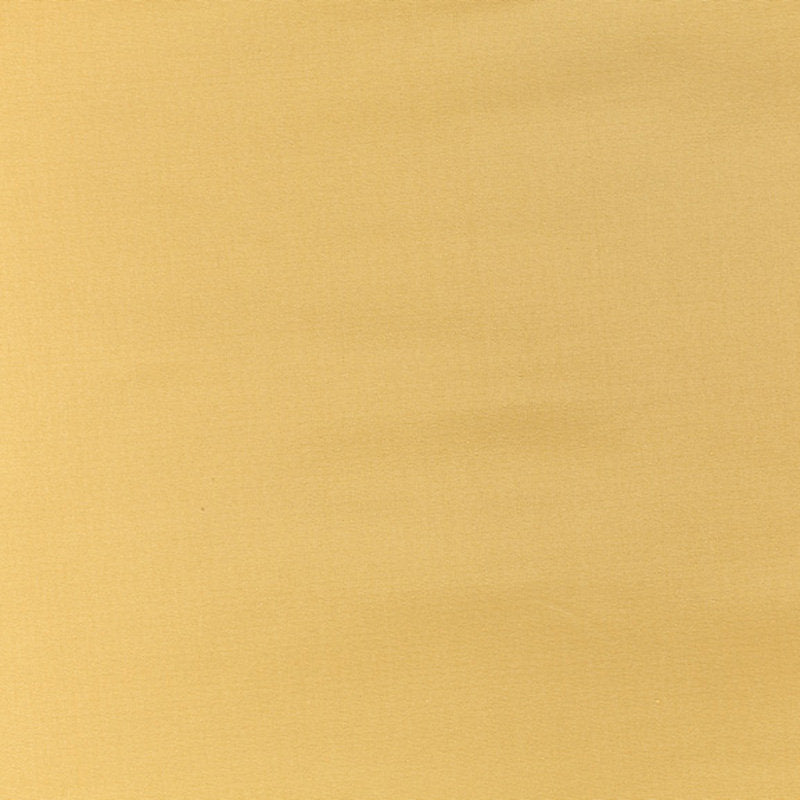 Pacific Silk - Chamois - Scalamandre Fabric