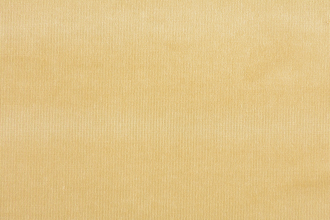 Glamour Velvet - Wheat - Scalamandre Fabric