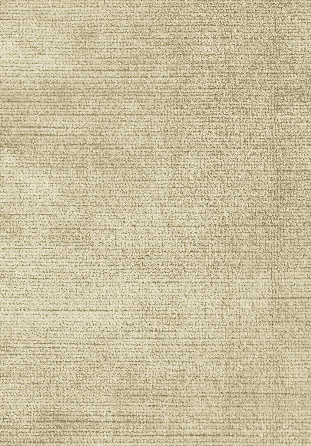 Antique Velvet - Biscotti