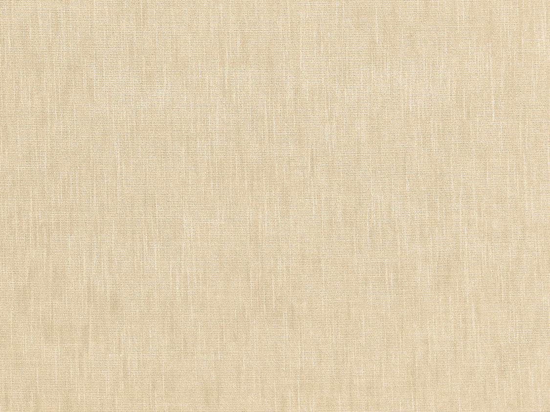 Supreme Velvet - Almond Buff - Scalamandre Fabric