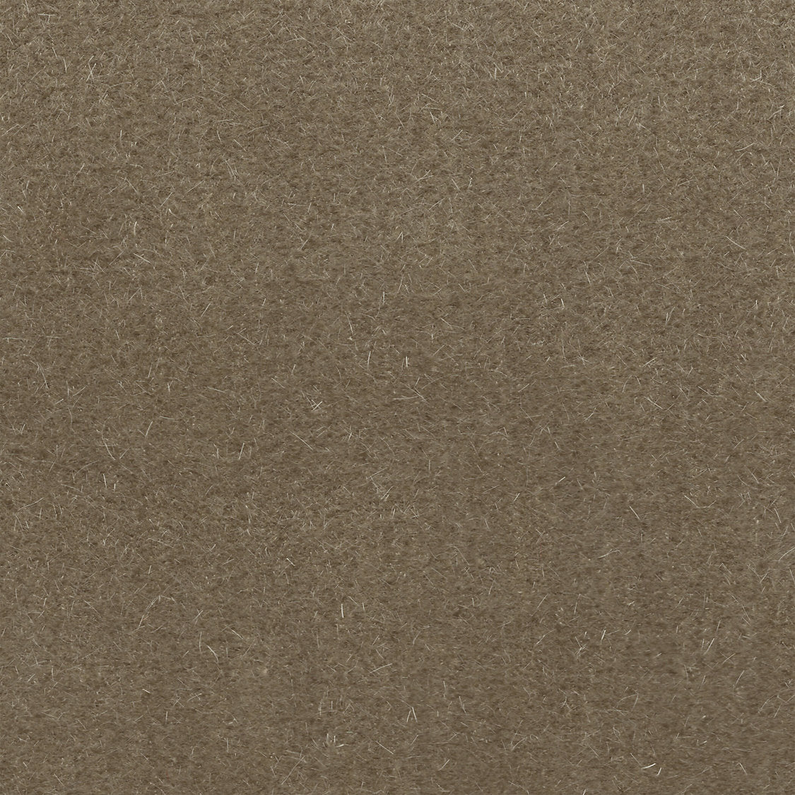 Majestic Mohair - Driftwood - Scalamandre Fabric