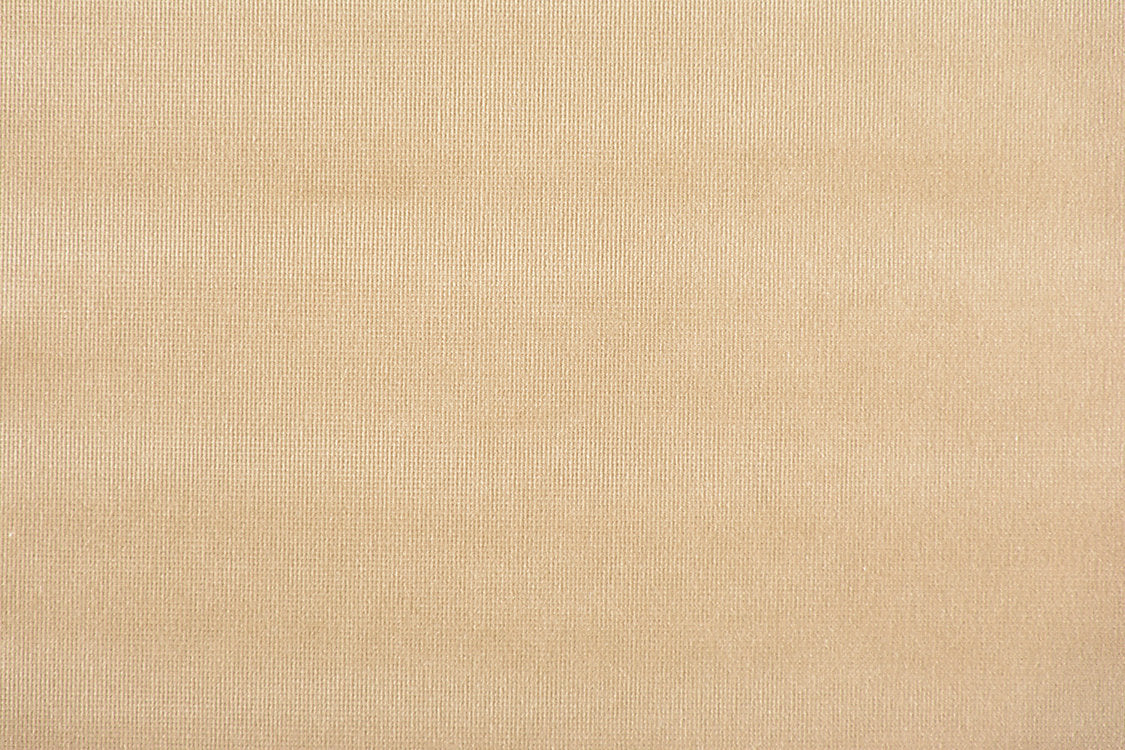 Glamour Velvet - Stagecoach - Scalamandre Fabric