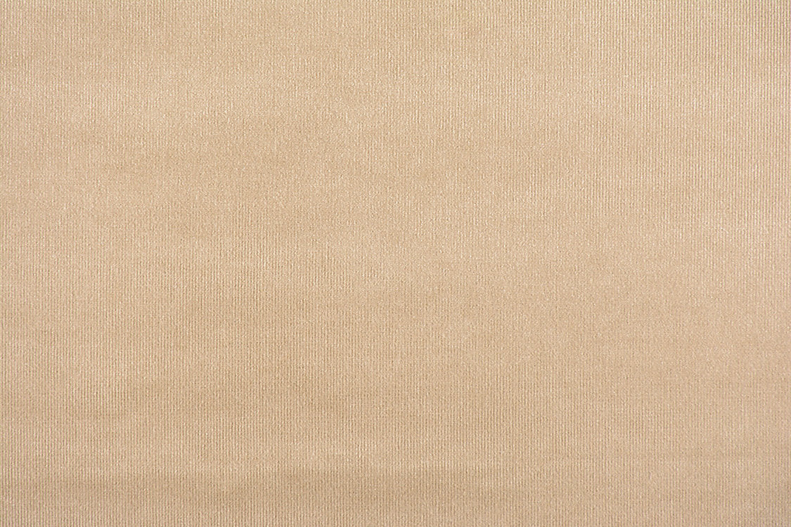 Glamour Velvet - Brush - Scalamandre Fabric