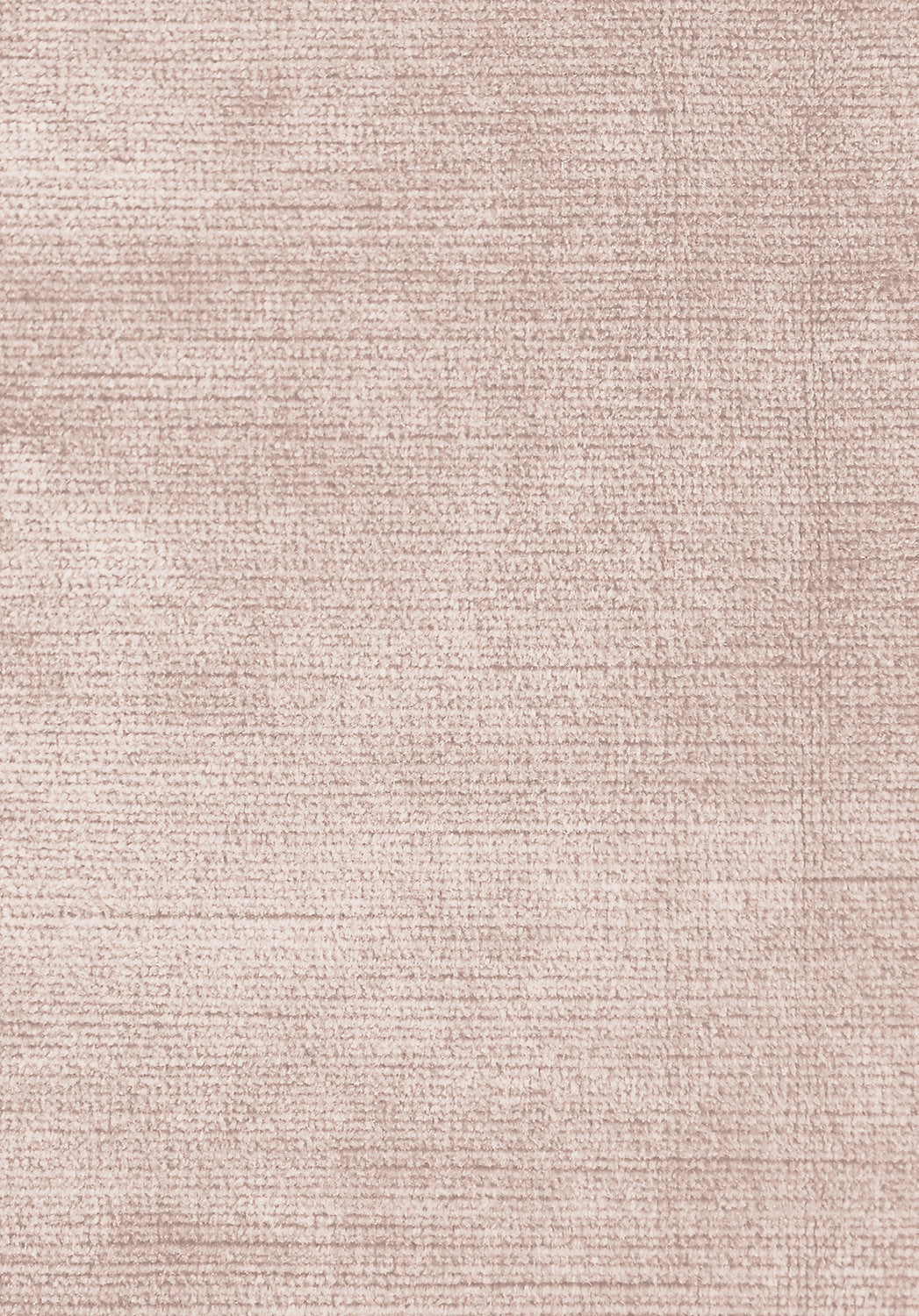Antique Velvet - Silver Peony - Scalamandre Fabric