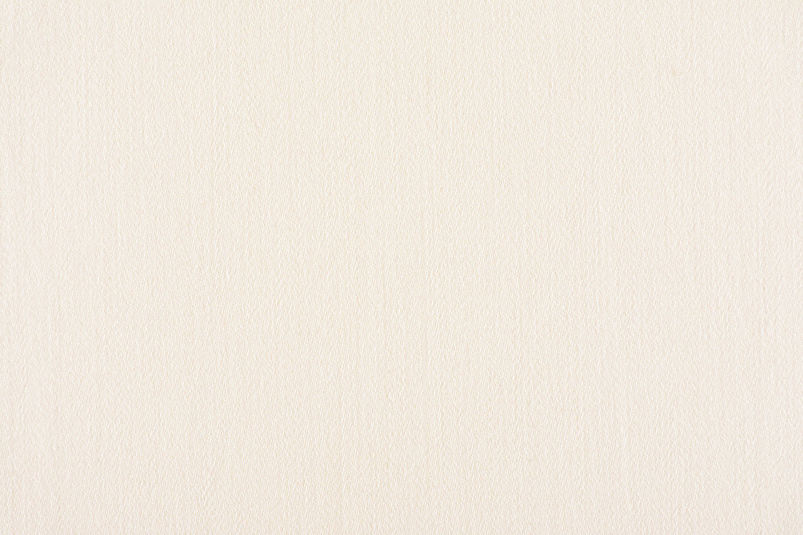 Rio - Ivory - Scalamandre Fabric